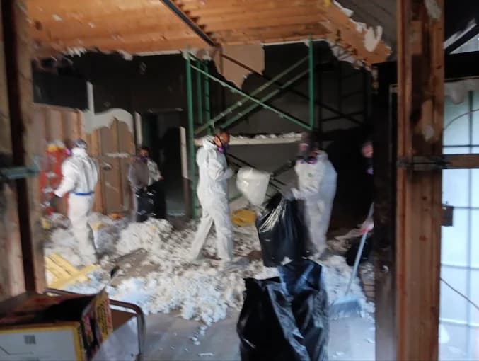 Mold remediation work in progress