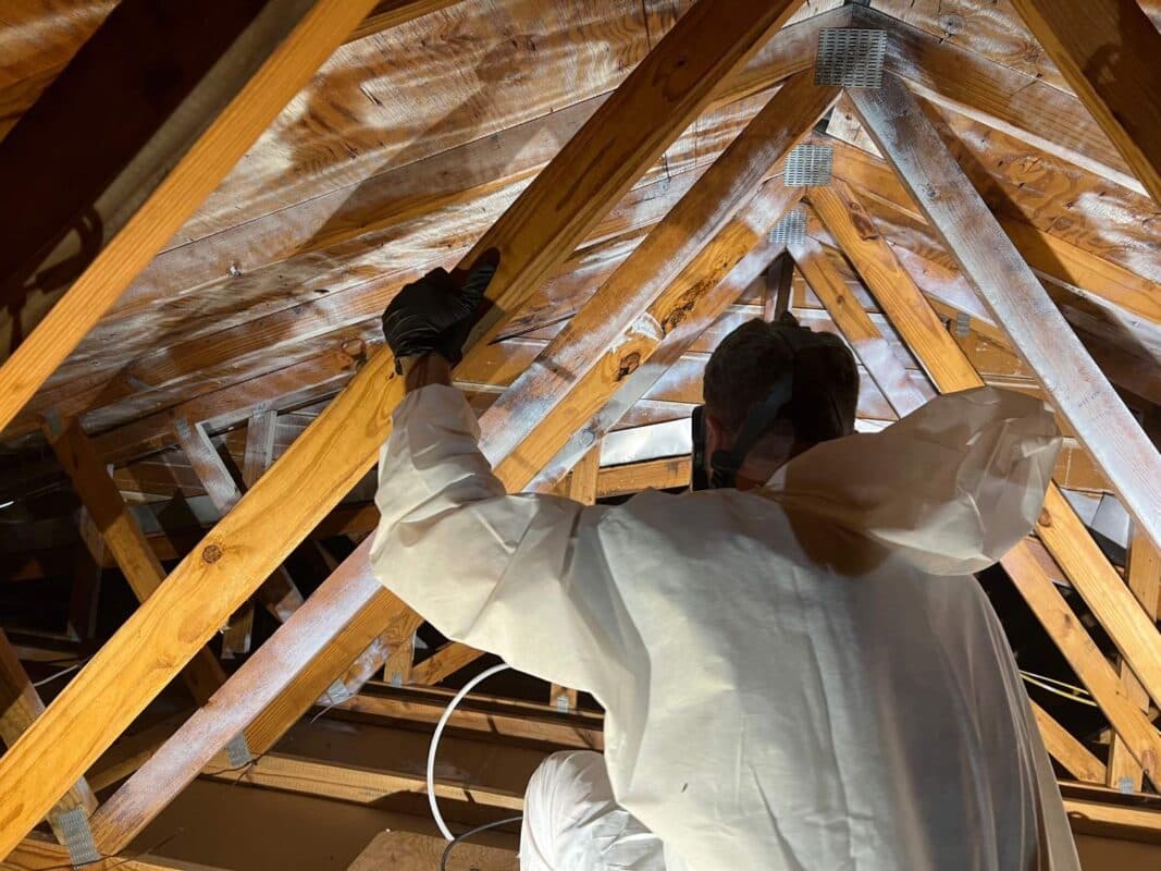 Roof Leak Mold Remediation: What Atlanta Homeowners Need to Know